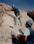 Solitario Canyon mapping activities in September 1993.