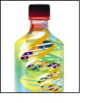 Image of DNA in a Bottle