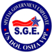 Special Government Employee (SGE) Program