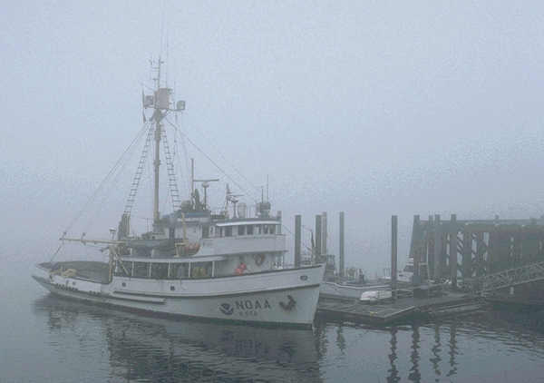 COBB, fisheries research vessel, alongside in the fog
