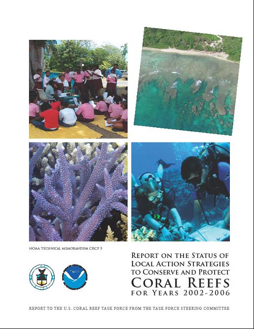 An image of the cover of the 'Report on the Status of Local Action Strategies to Conserve and Protect Coral Reefs for Years 2002-2006'