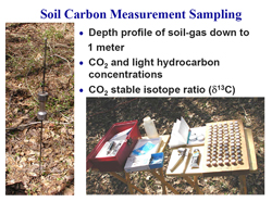Soil Carbon Measurement Sampling