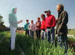 SARE-funded professional development projects often include in-the-field education such as this tour of an organic onion farm