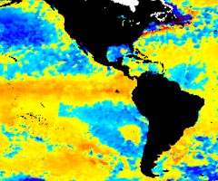 NOAA satellite image of El Niño taken Jan. 6, 2003. The warm sea surface temperatures in the eastern Pacific Ocean are represented in red.