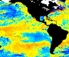 NOAA satellite image of El Niño taken Feb. 10, 2003.