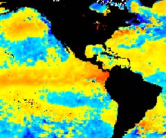 NOAA satellite image of sea surface temperatures in the Eastern Pacific taken Oct. 7, 2002.