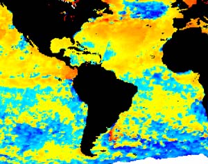 NOAA satellite image of latest sea surface temperatures in the equatorial Pacific taken Aug. 5, 2003.