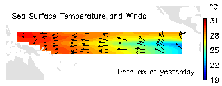 Latest wind and sea surfact temperature