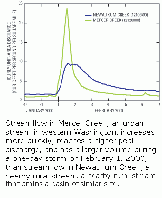 Chart showing how an urban and rural stream react differently to heavy rainfall. 