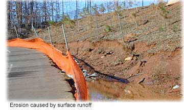 Picture showing erosion caused by surface runoff. 