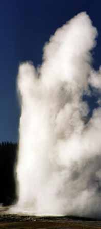 geyser at Yellowstone