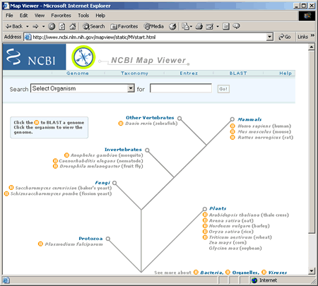 NCBI Map Viewer Home