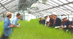 Manager of the National Plant Materials CenterJohn Englert (second from left) explains the Plant Materials Program to An Baoli, Ministry of Water Resources of China