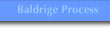 Baldrige Process link