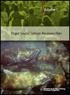 Final Recovery Plan for Chinook Salmon (Puget Sound)