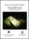 Final Recovery Plan for Pacific Hawksbill Turtle