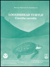 Final Recovery Plan for Atlantic Loggerhead Turtle