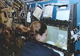 SLS-1 Mission Specialist Tamara Jernigan performs experiment operations in the General Purpose Work Station.