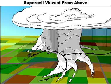 A supercell storm viewed from above, showing the position of the fronts, the inflow bands, and the tornado