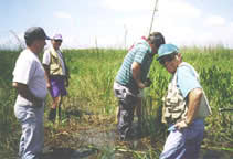 photo of scientists in the field