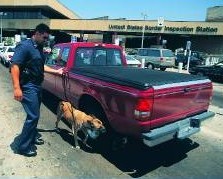 Canine Team screening vehicles at land border port.