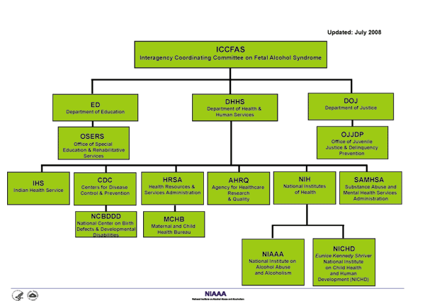 ICCFAS Org Chart