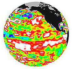 The warm waters (white) of El Niño in October 2002, in the map constructed from Jason-1 data.