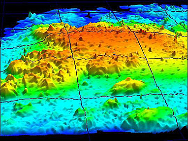 EAARL image of mapped subsurface reef off St. Johns Island.