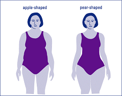 Apple and Pear Shaped Women