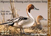 2008 Federal Duck Stamp