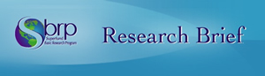 research brief header