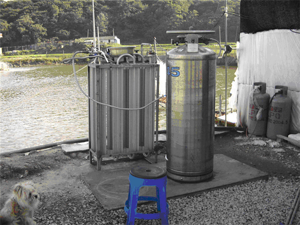 Liquid oxygen is prepared in most shrimp farms for emergency.