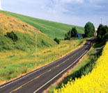 Photo: Country road