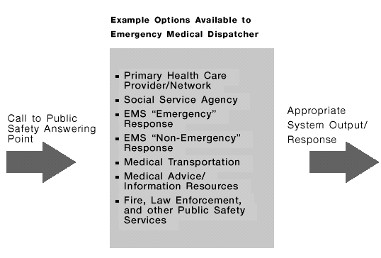 Figure 2 image: Example Options Available to Emergency Medical Dispatcher