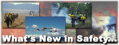 What's New in Safety - photos of firefighters and aircraft.