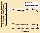 Exposure of Amphetamine - Graphic