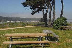 A photo of picnic tables at the East Beach picnic area.