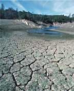 dry and cracked receded lake bed