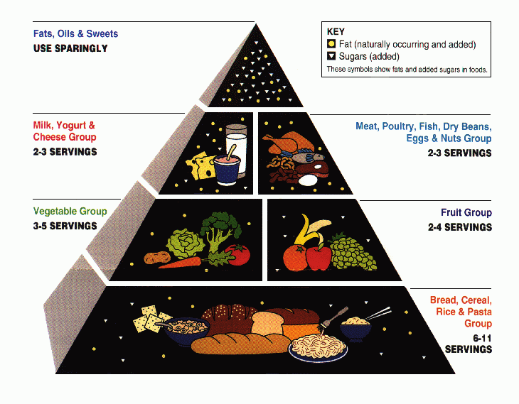 Image of the Food Guide Pyramid