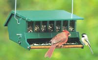 {Birds at hanging feeder image}