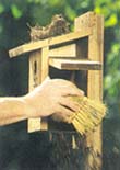 {Cleaning a birdhouse image}