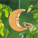 {Bird on moons image}