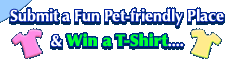 Submit a Fun Pet-friendly Place
