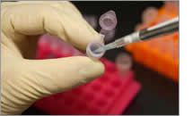 Gloved hands with pipette and test tube