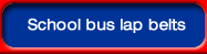 School bus lap belts