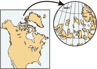Position of the North Magnetic Pole in 2001