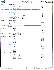 Graphic of genetic analysis between species and populations by isozyme, mtDNA and microsatellite DNA