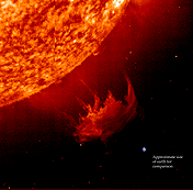 [Thumbnail image of Sun, eruptive prominence, and earth for size comparison]