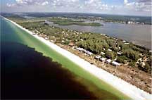 Aerial view of the red tide off the coast of Florida