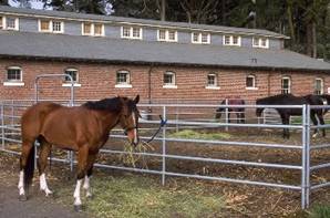 A photo of the Park Police Mounted Patrol headquarters at Cavalry Stables.